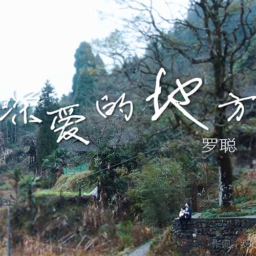 深爱的地方